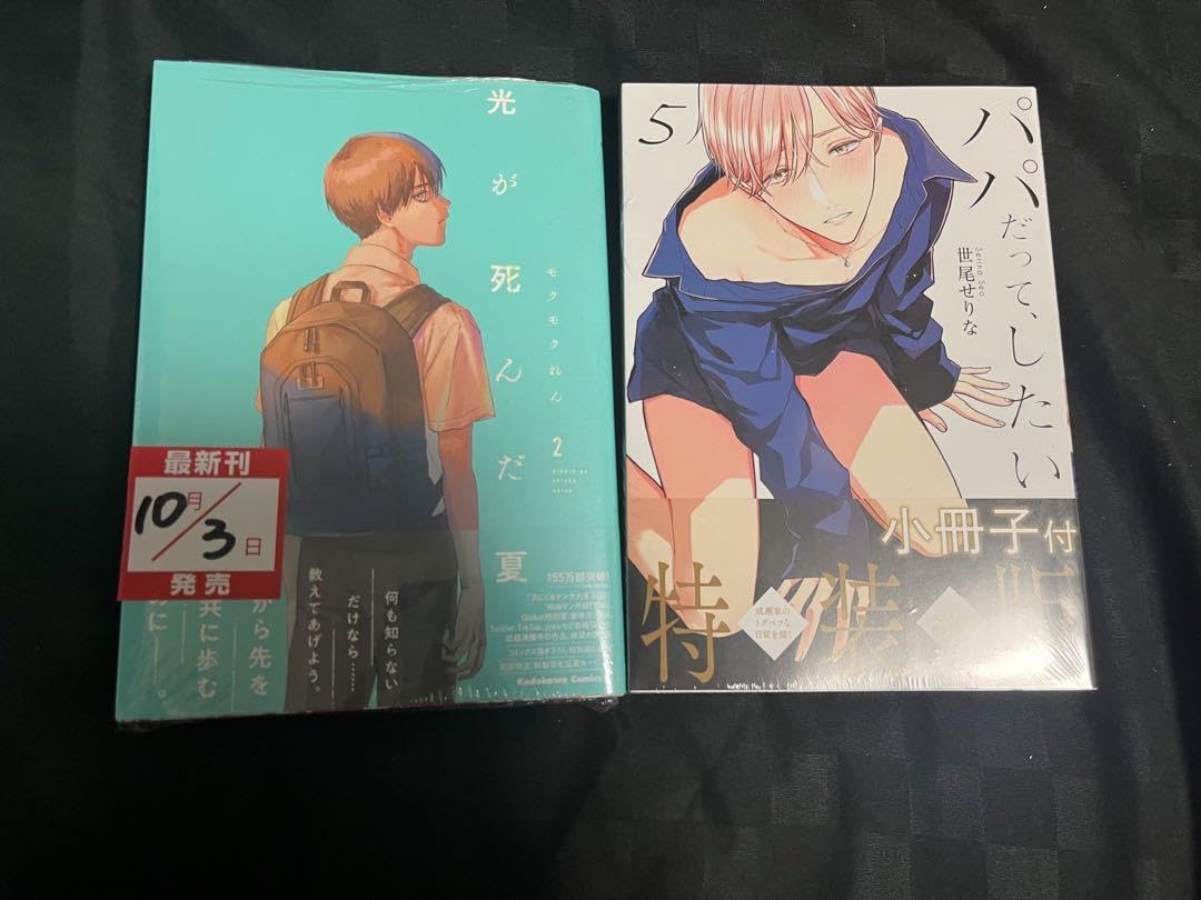 Amazon.co.jp: 光が死んだ夏、パパだってしたい bl漫画セット